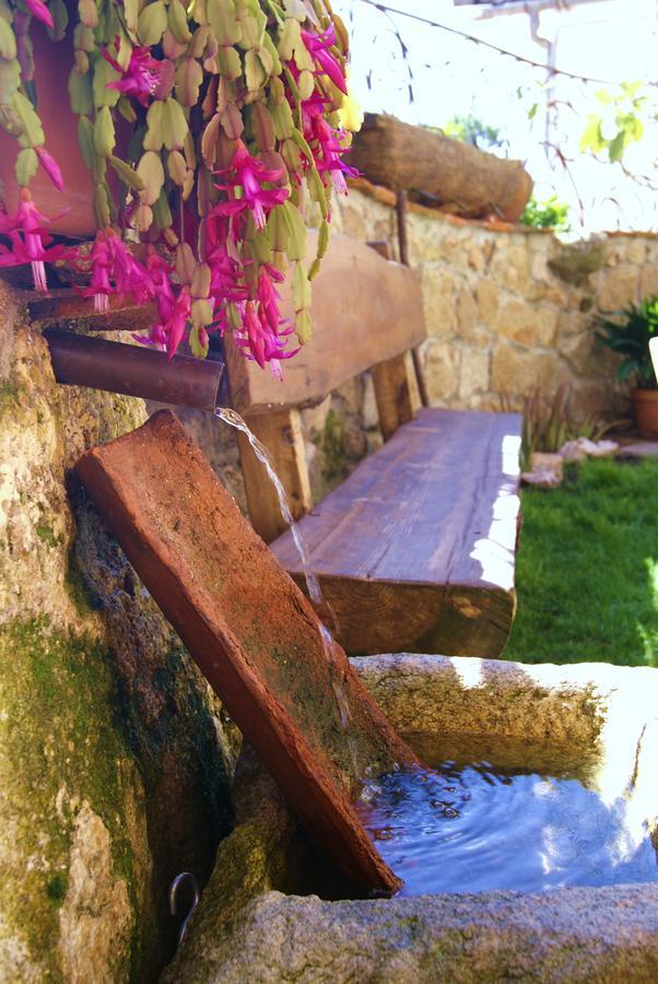 Posada La Gatera Pedro Bernardo Luaran gambar