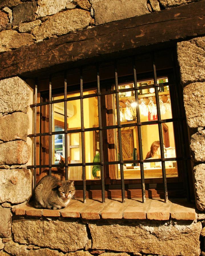 Posada La Gatera Pedro Bernardo Luaran gambar